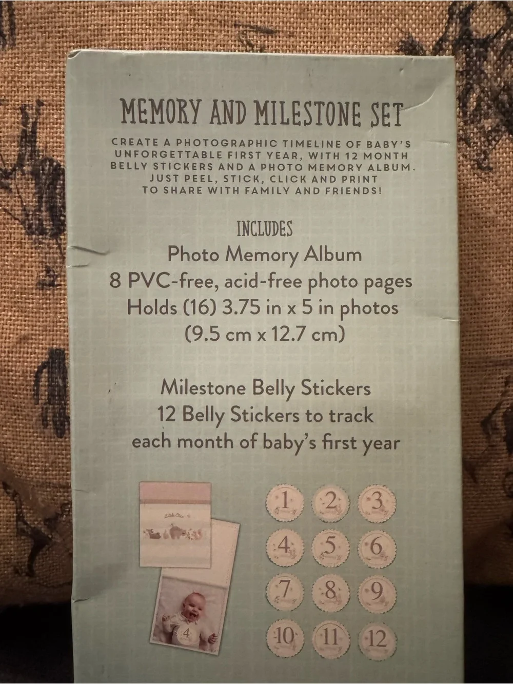 Stepping Stones Little One Memory & Milestone Set Album, 12 Month Stickers